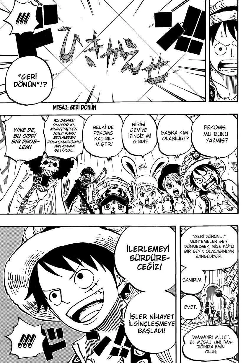 One Piece - Sayfa 14