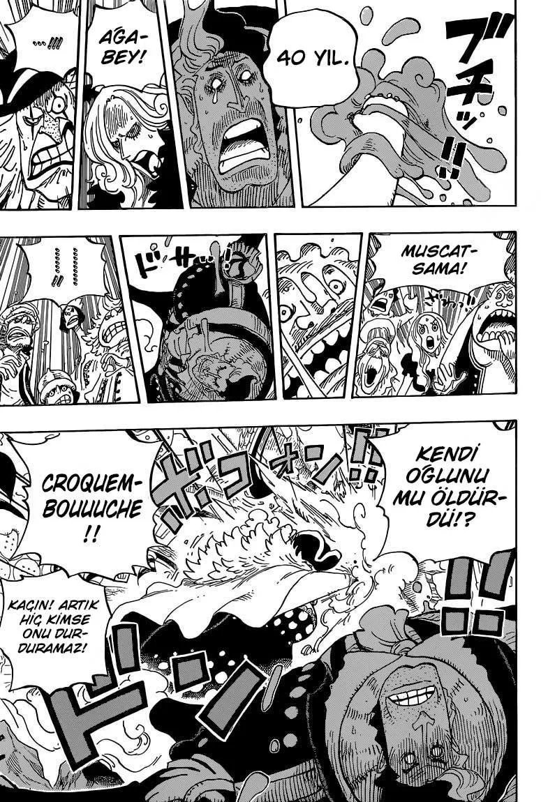 One Piece - Sayfa 12