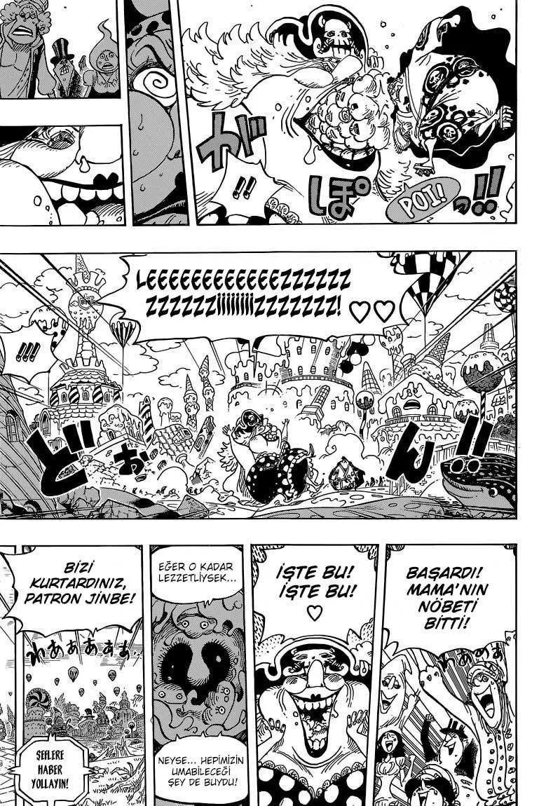One Piece - Sayfa 14