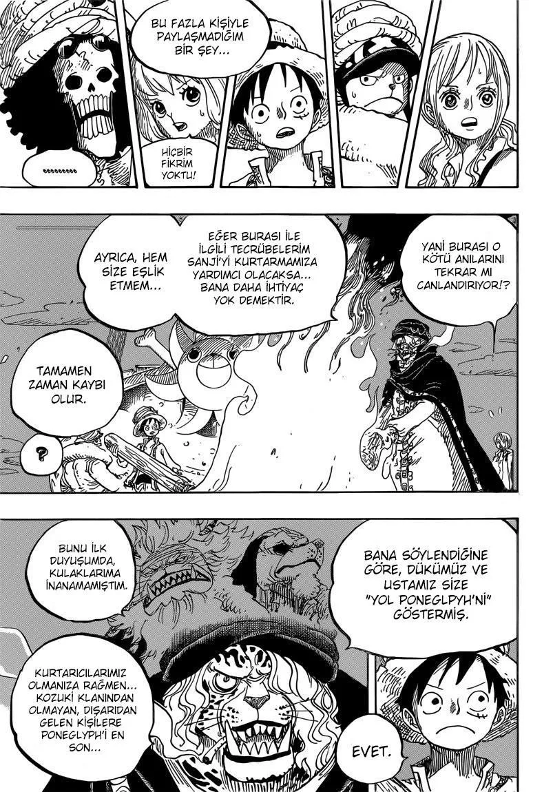 One Piece - Sayfa 14