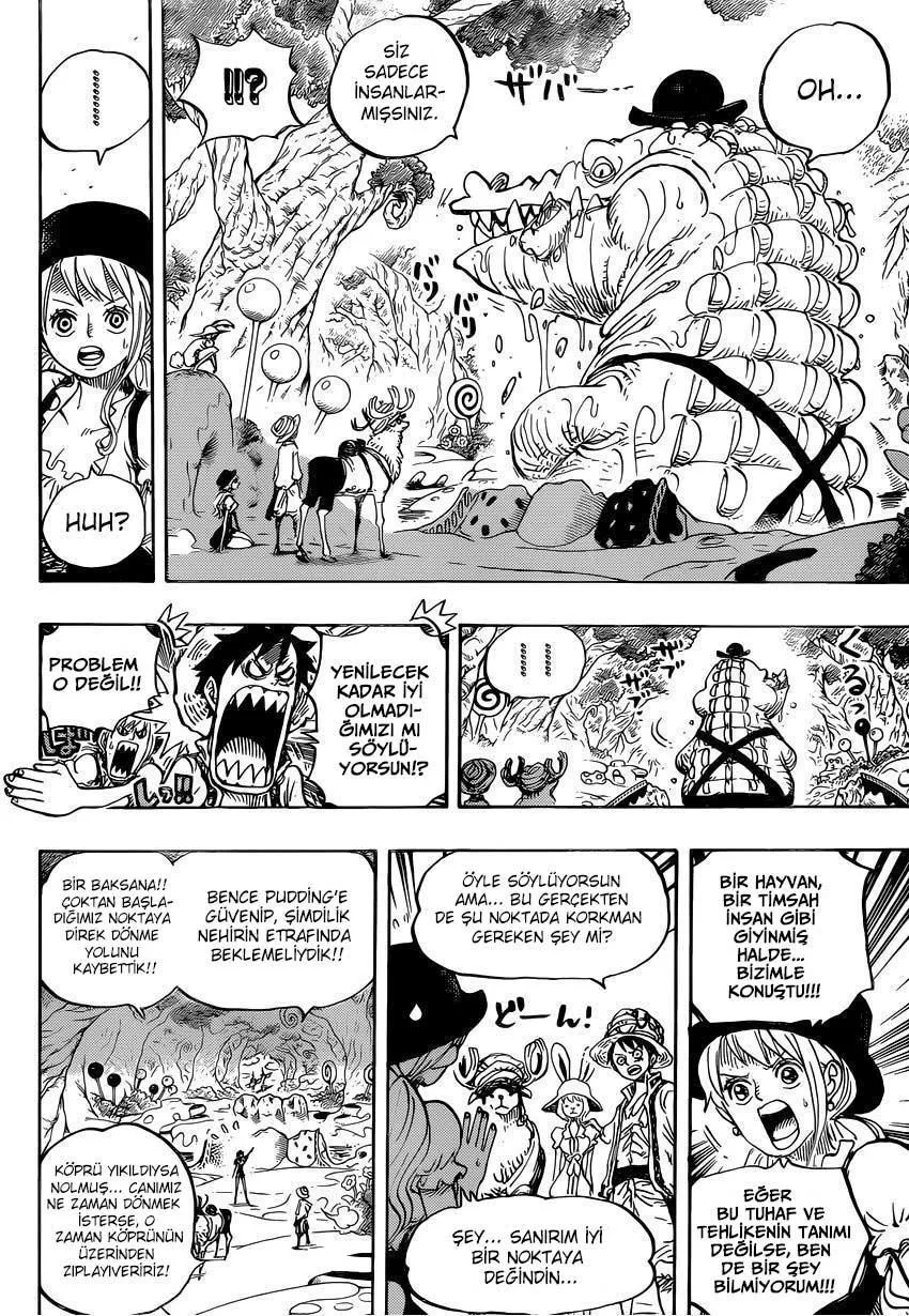 One Piece - Sayfa 11