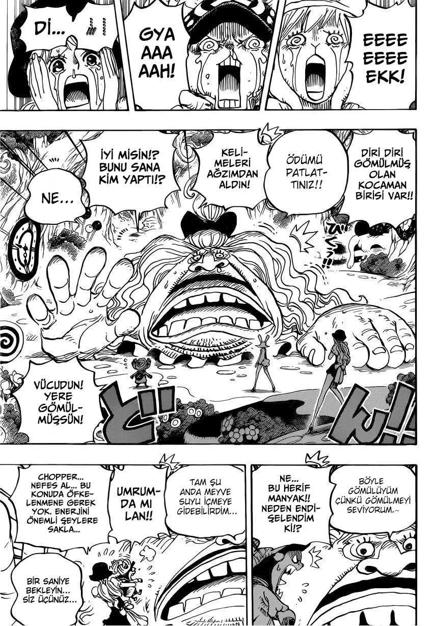One Piece - Sayfa 16