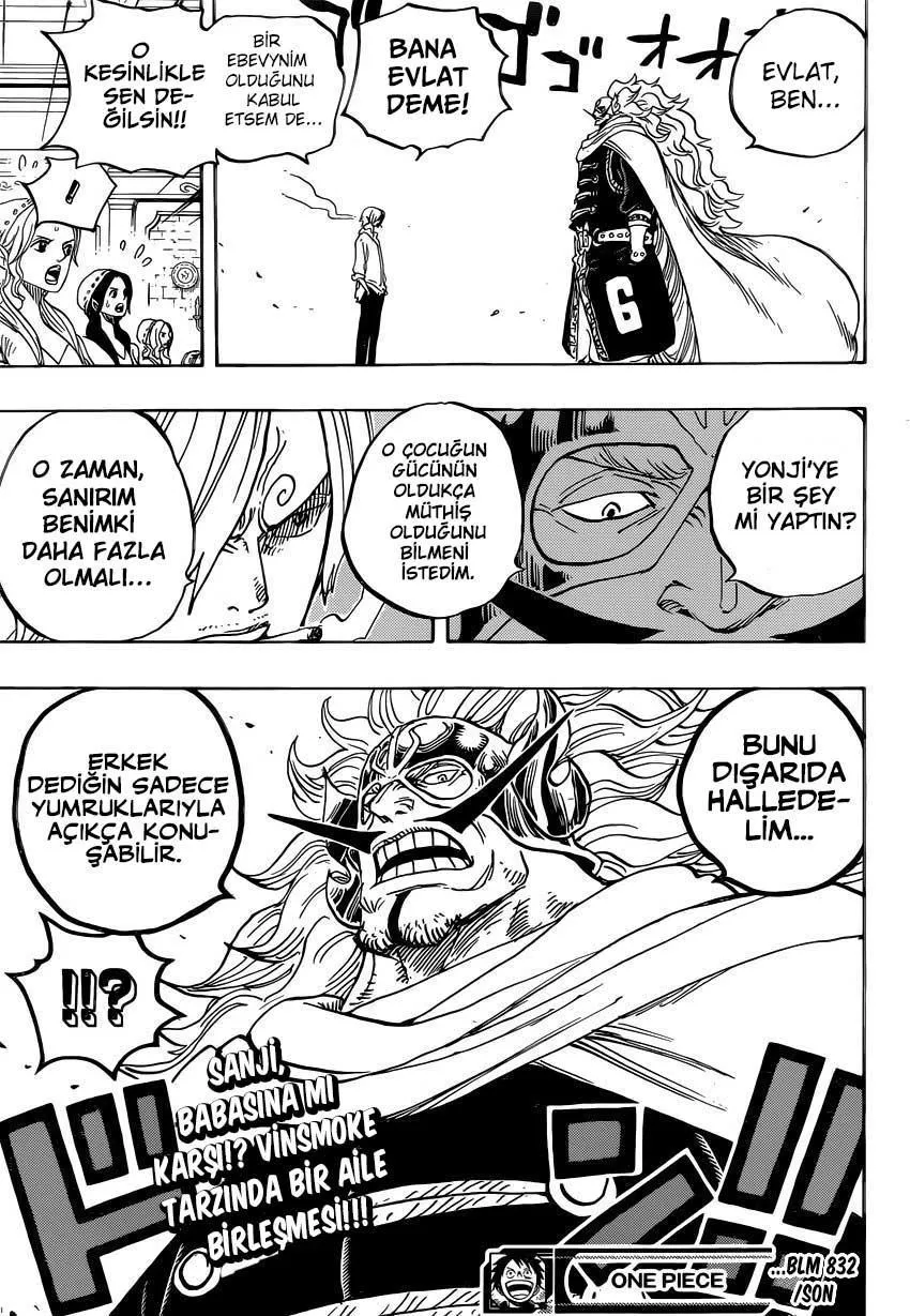 One Piece - Sayfa 17