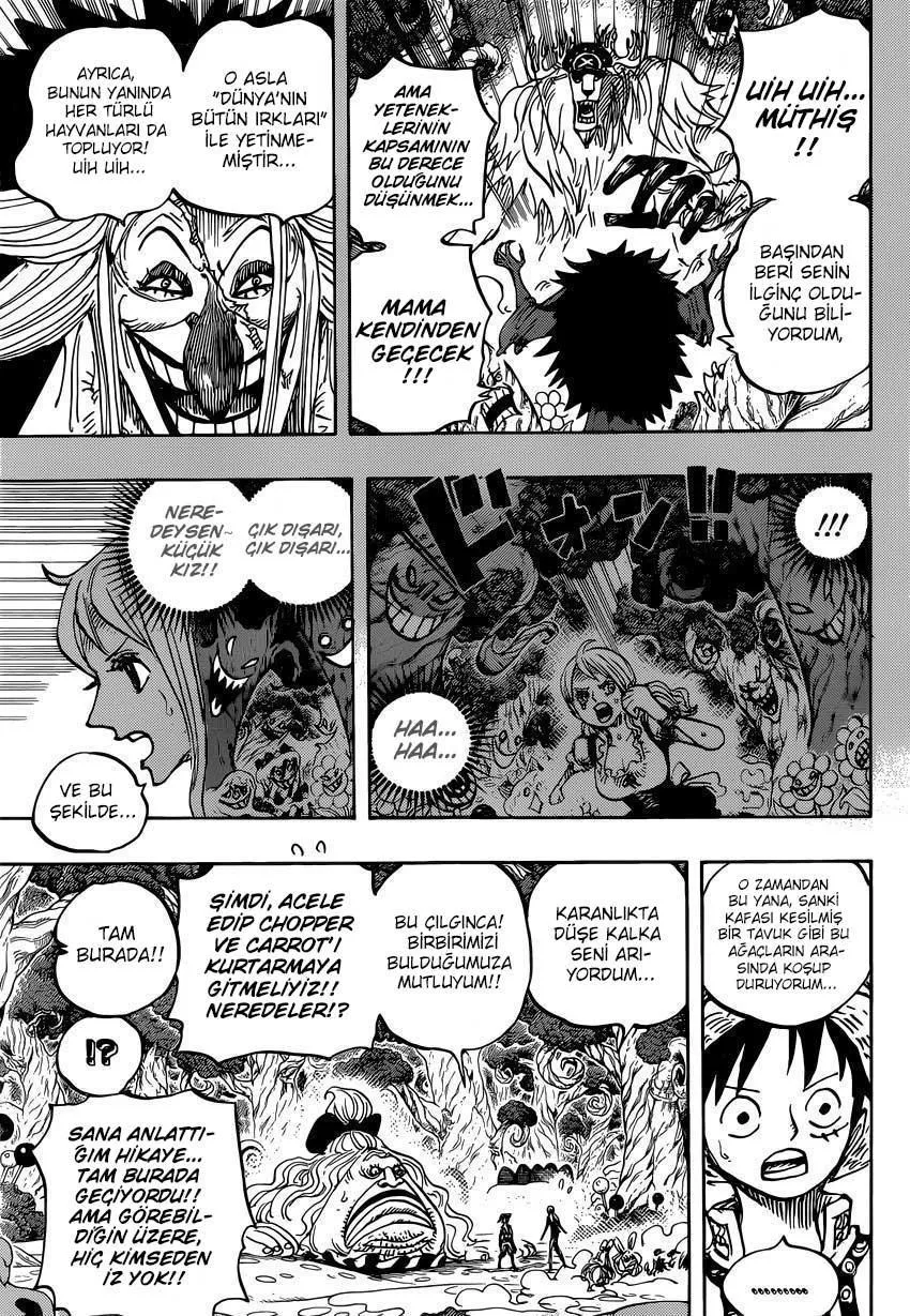 One Piece - Sayfa 12