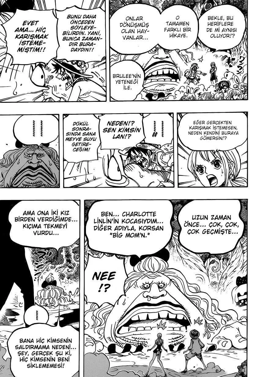 One Piece - Sayfa 16