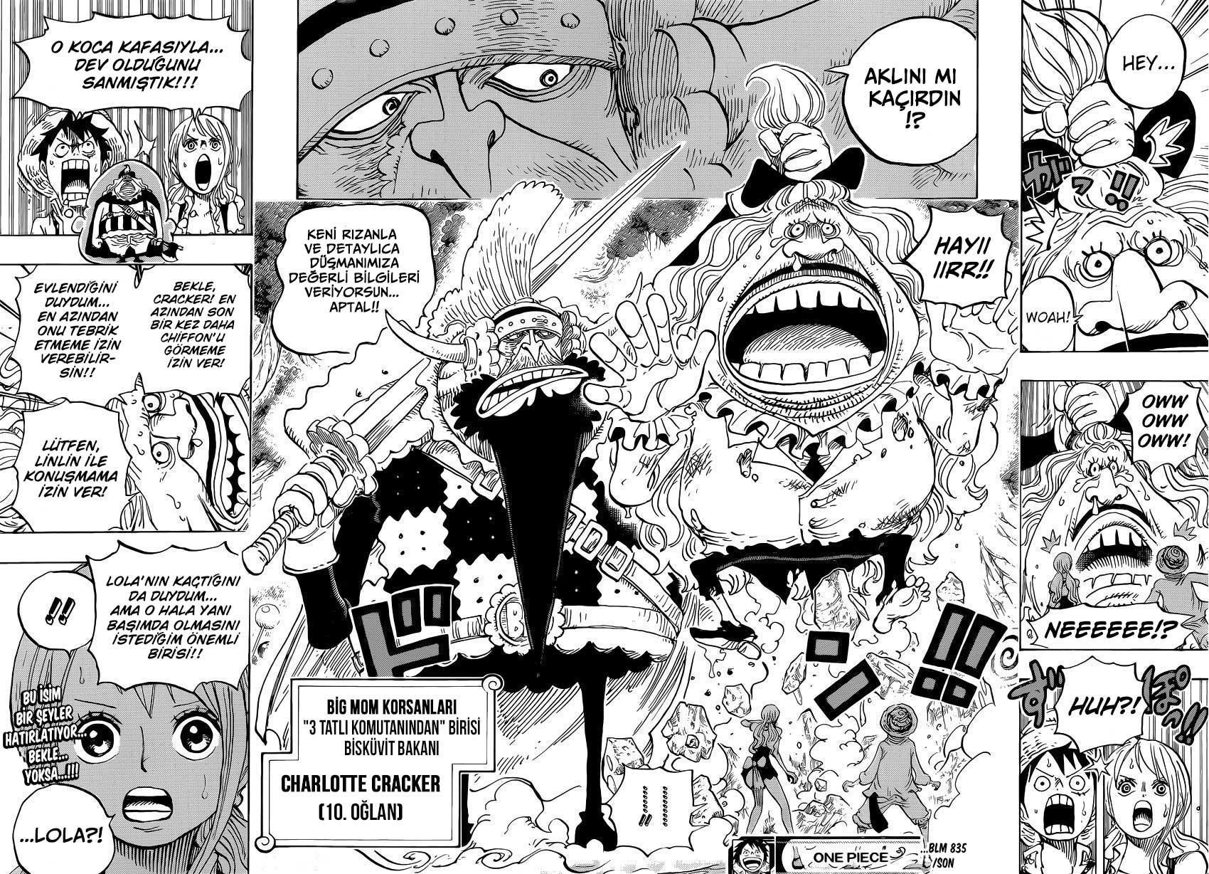 One Piece mangasının 0835 bölümünün 17. sayfasını okuyorsunuz.