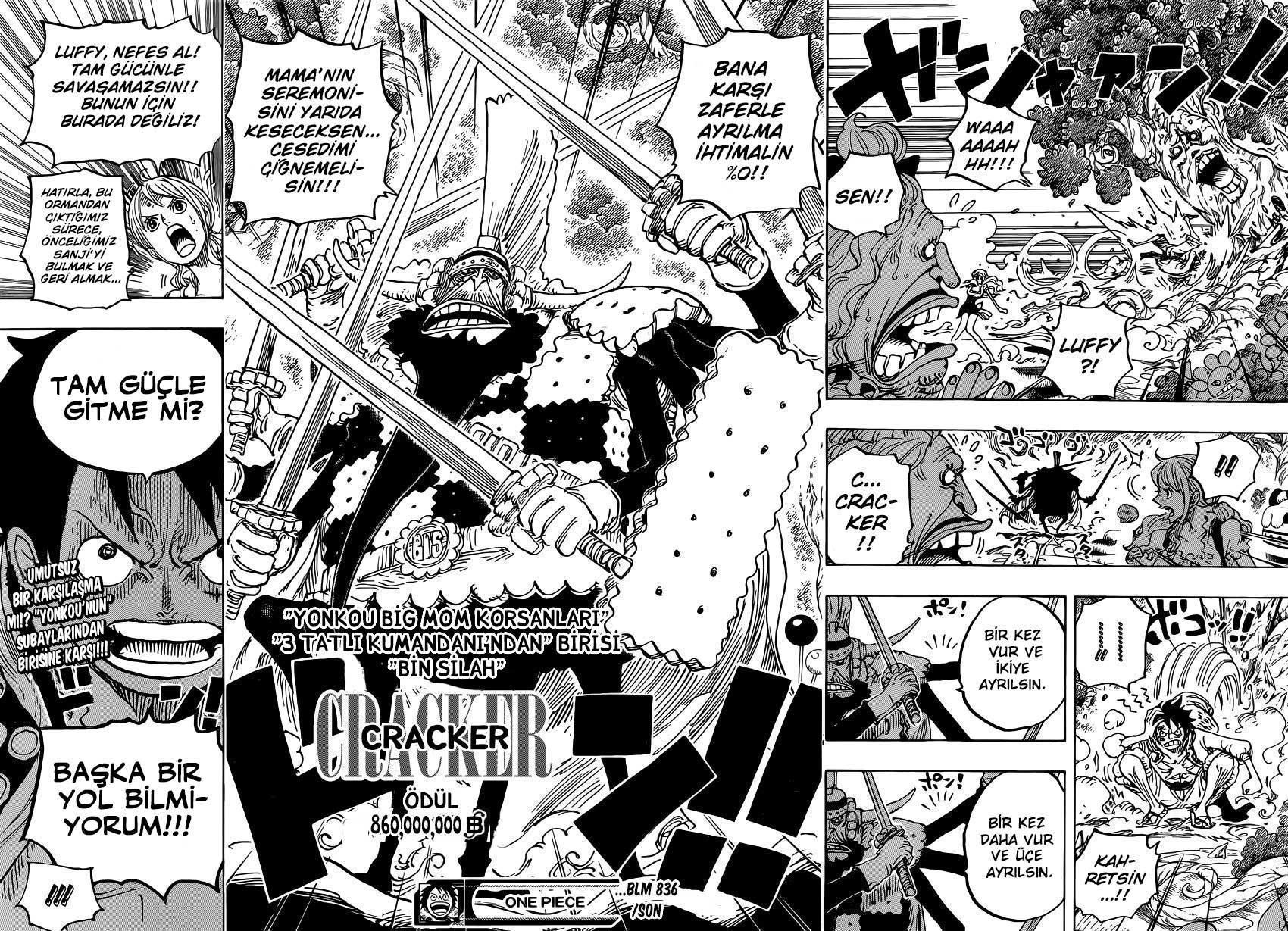 One Piece mangasının 0836 bölümünün 15. sayfasını okuyorsunuz.