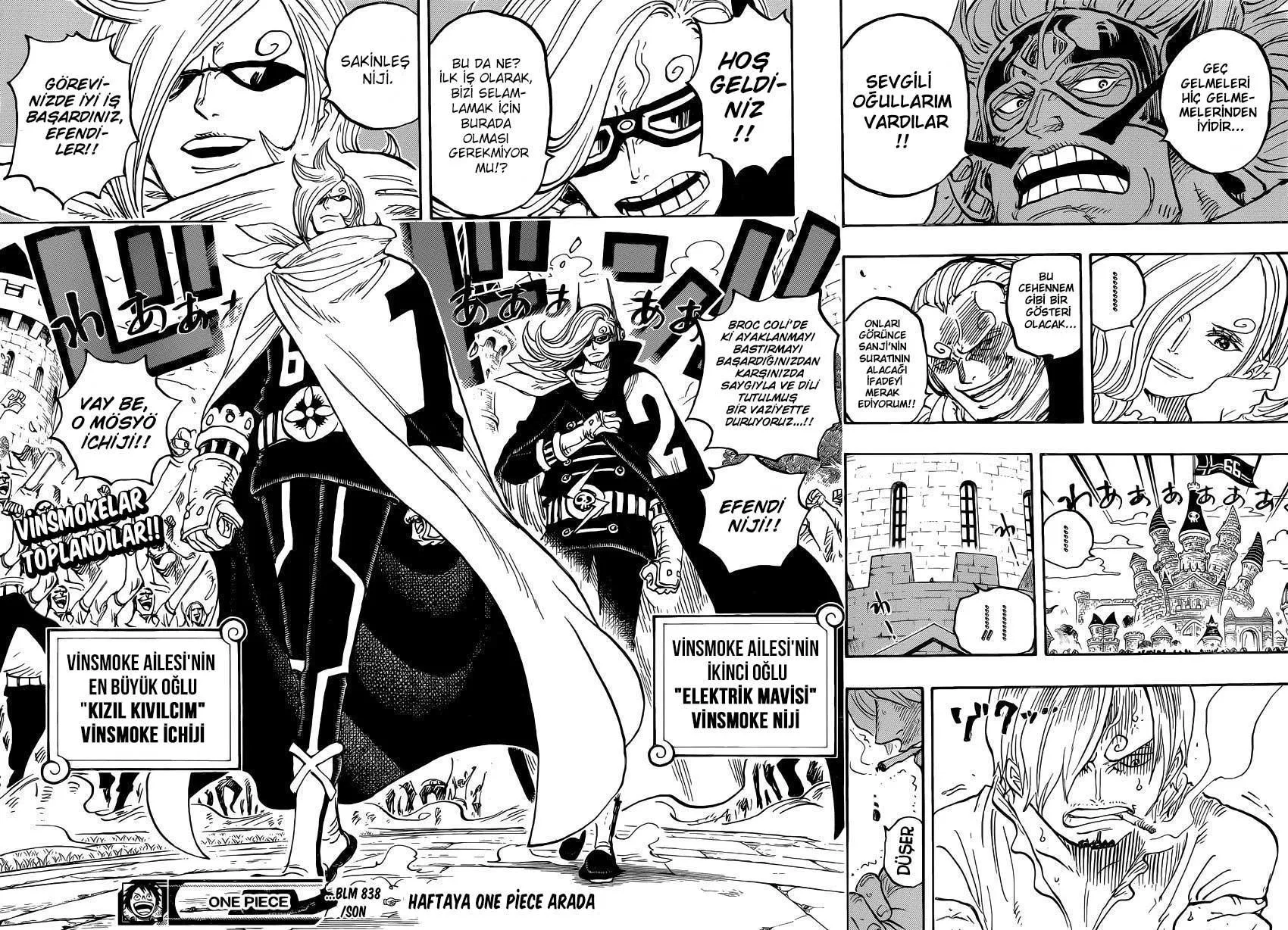 One Piece - Sayfa 15