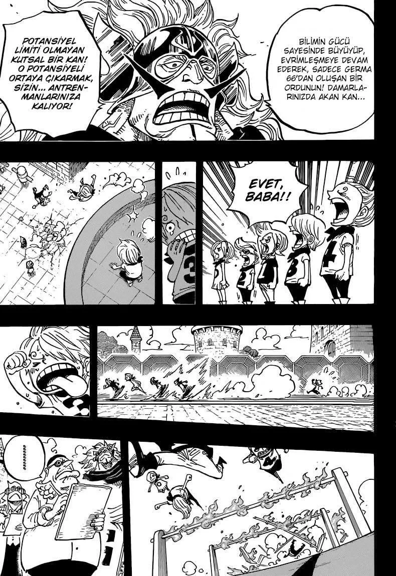 One Piece - Sayfa 12