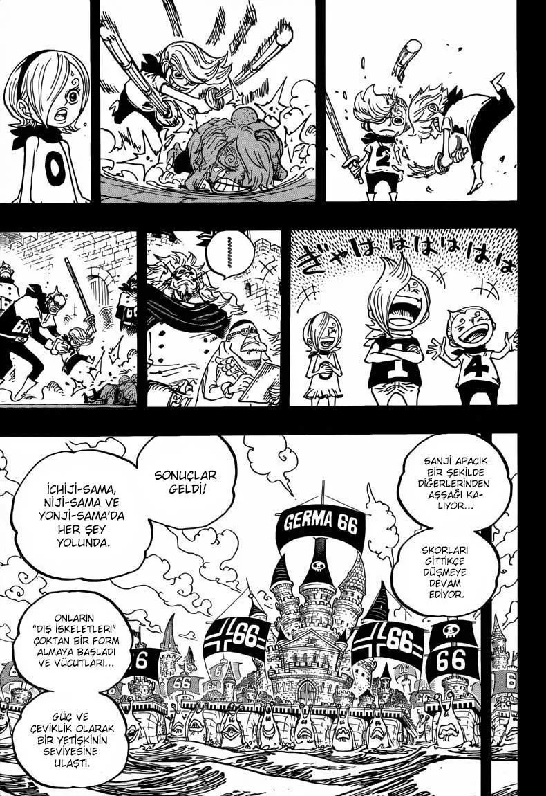 One Piece - Sayfa 14