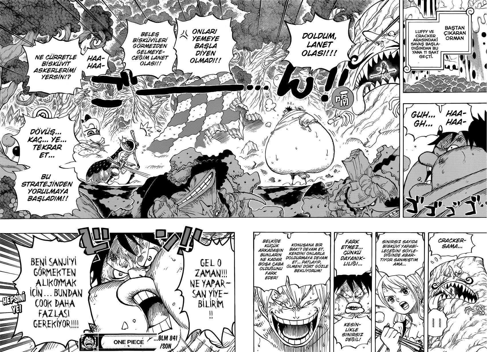 One Piece mangasının 0841 bölümünün 17. sayfasını okuyorsunuz.