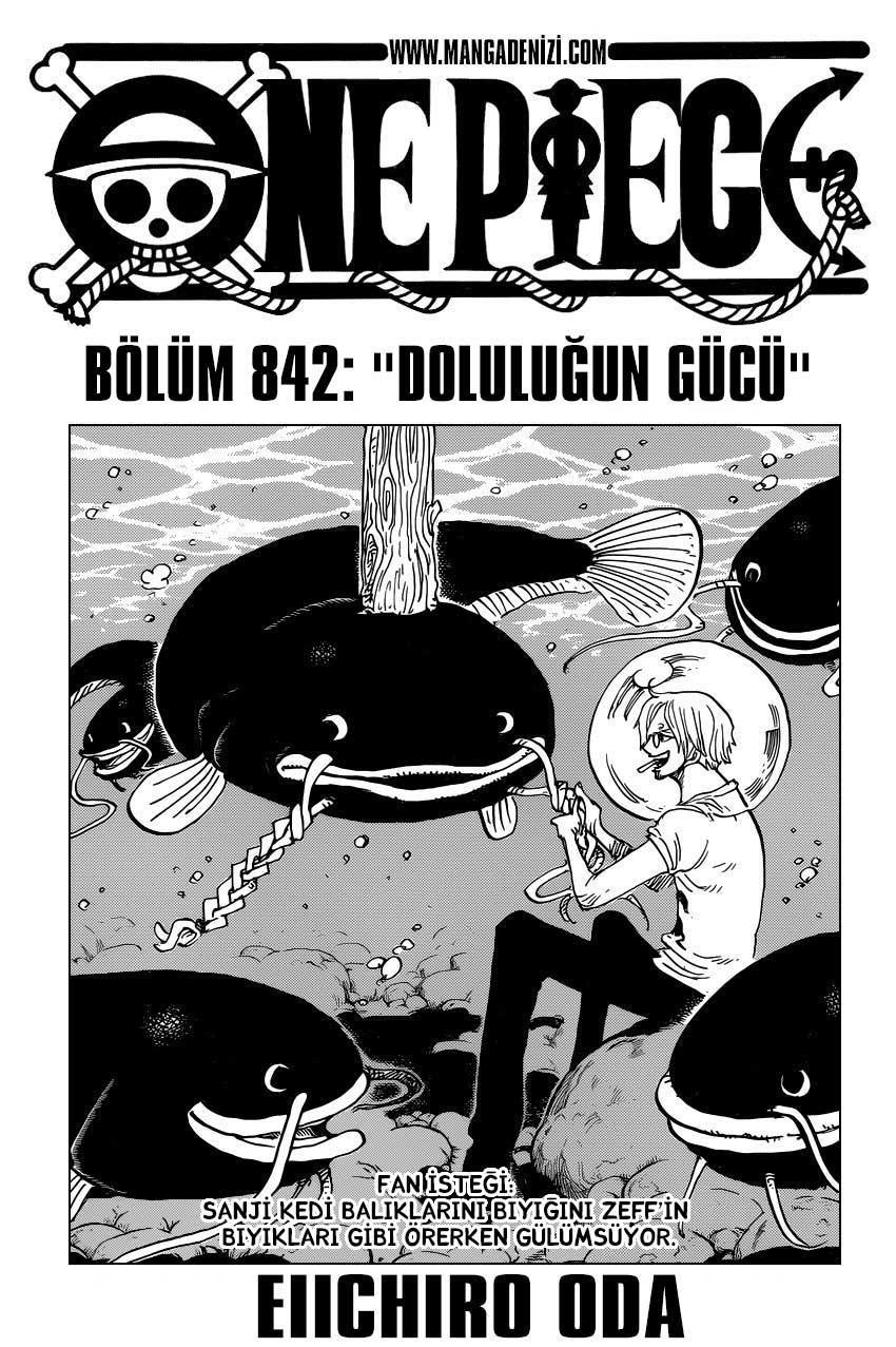 One Piece mangasının 0842 bölümünün 2. sayfasını okuyorsunuz.