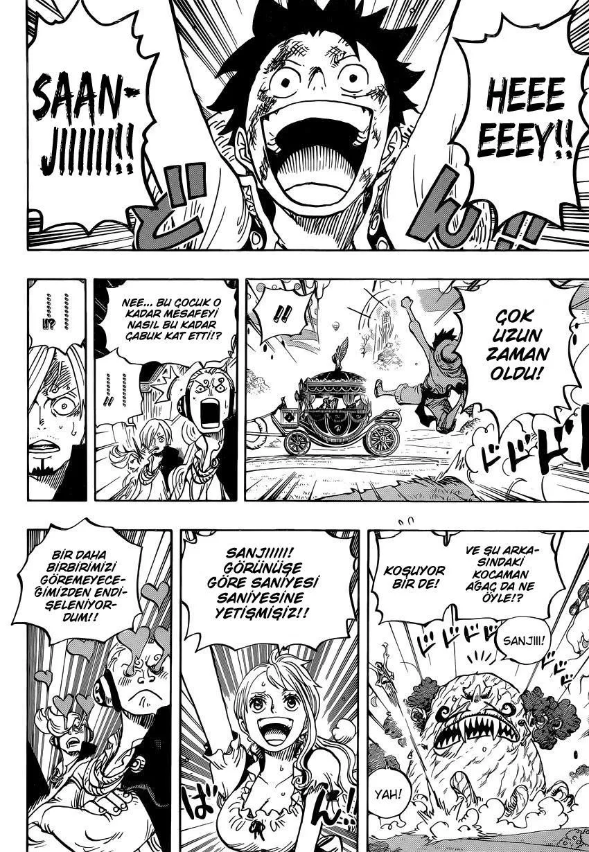 One Piece - Sayfa 13