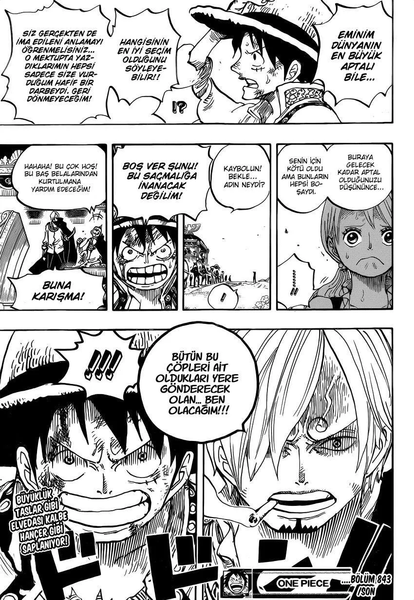 One Piece - Bölüm 0843 - Sayfa 18