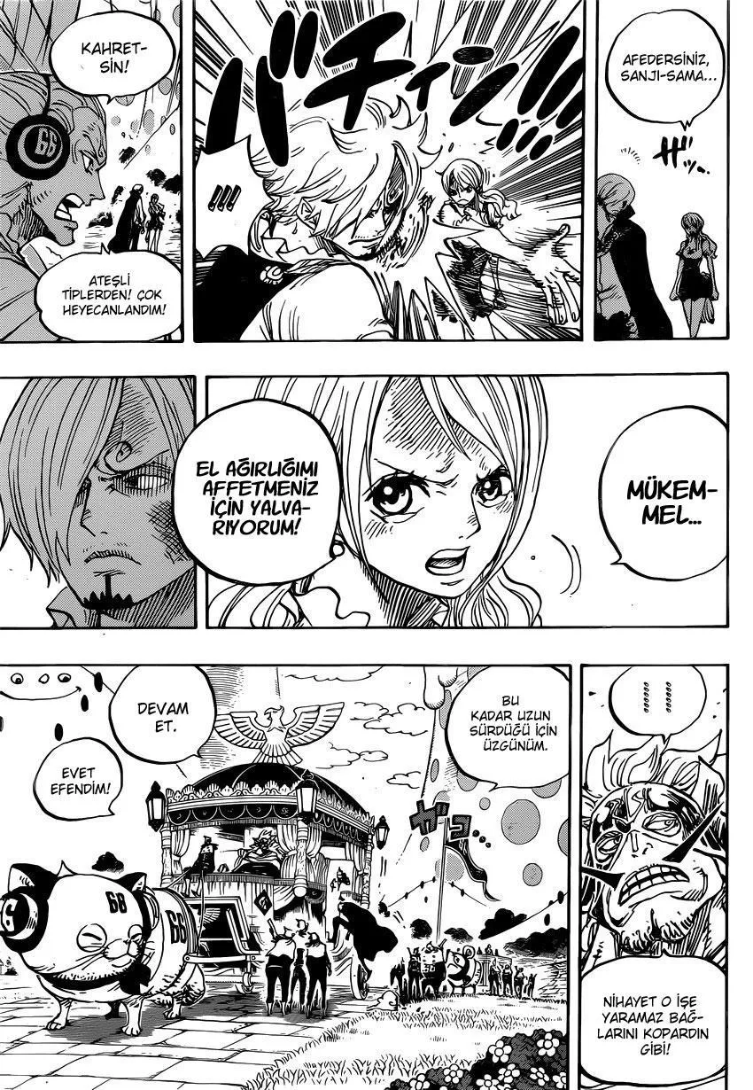 One Piece - Sayfa 13