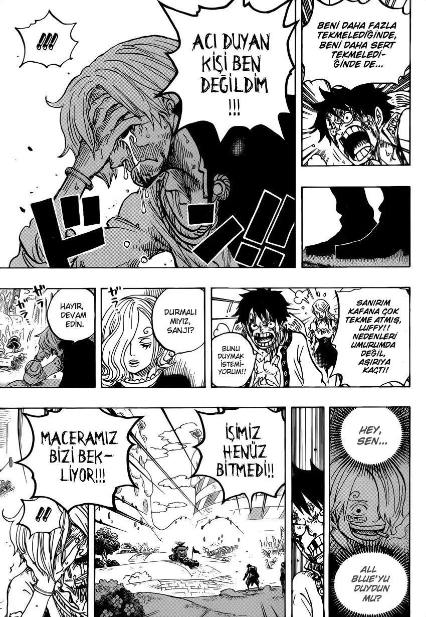 One Piece - Sayfa 15