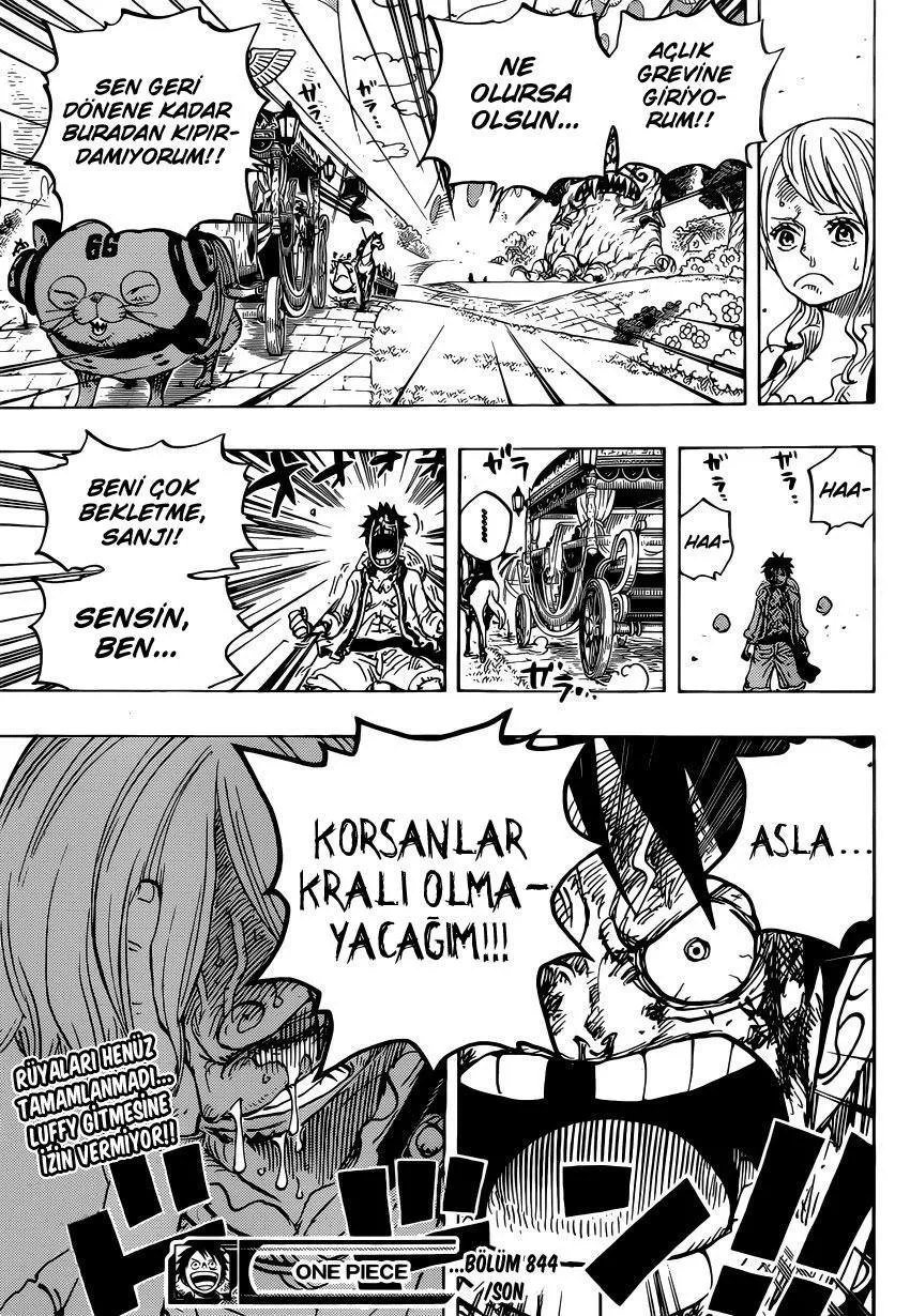 One Piece - Sayfa 17