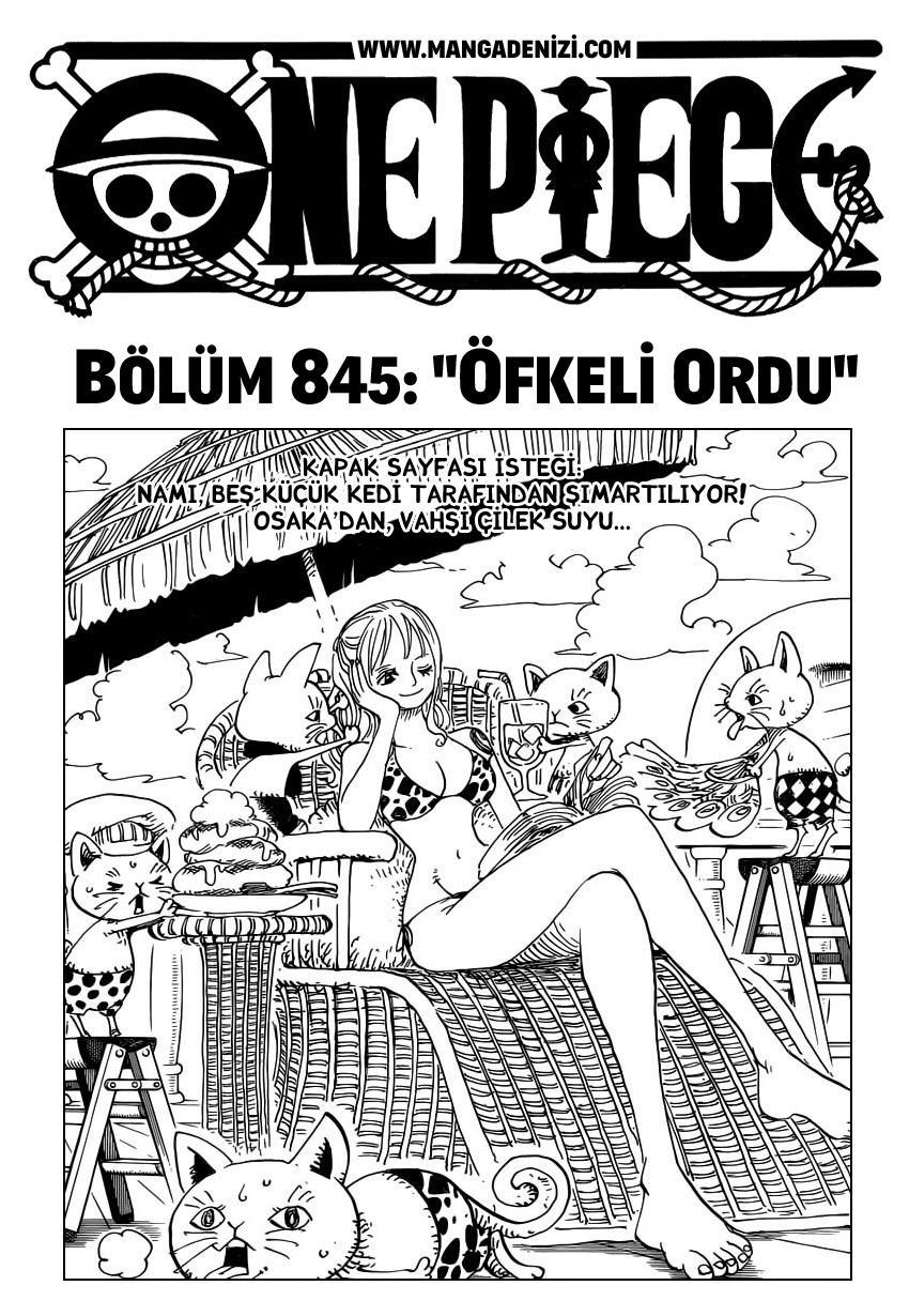 One Piece mangasının 0845 bölümünün 2. sayfasını okuyorsunuz.
