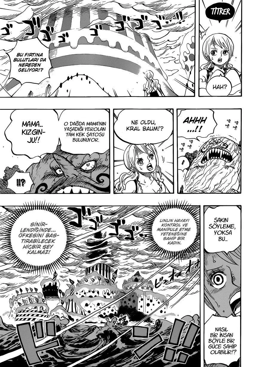 One Piece - Sayfa 4
