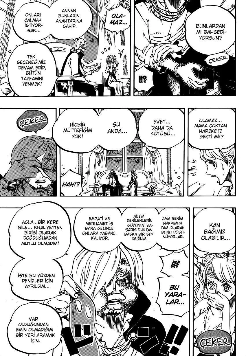 One Piece - Sayfa 13