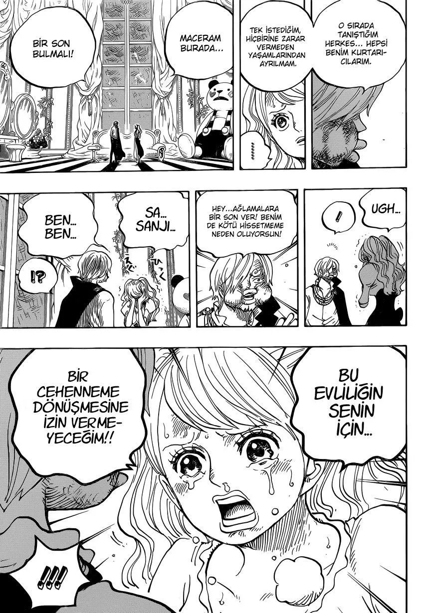 One Piece - Sayfa 15
