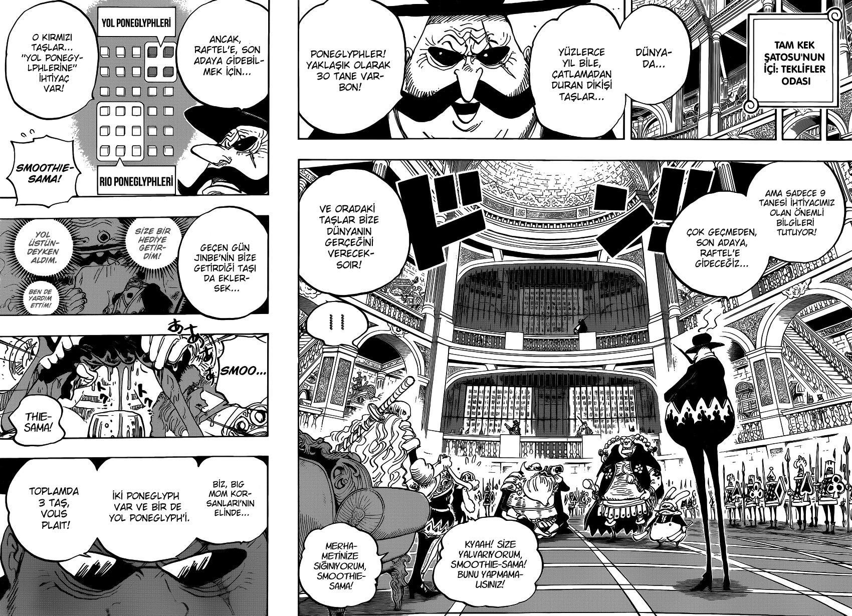 One Piece mangasının 0846 bölümünün 13. sayfasını okuyorsunuz.