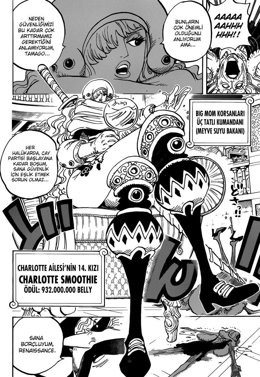 One Piece - Sayfa 14