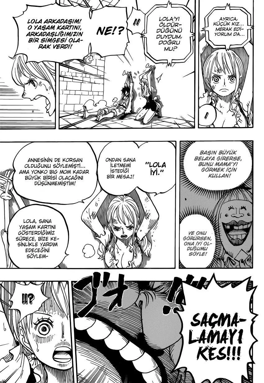 One Piece - Sayfa 14