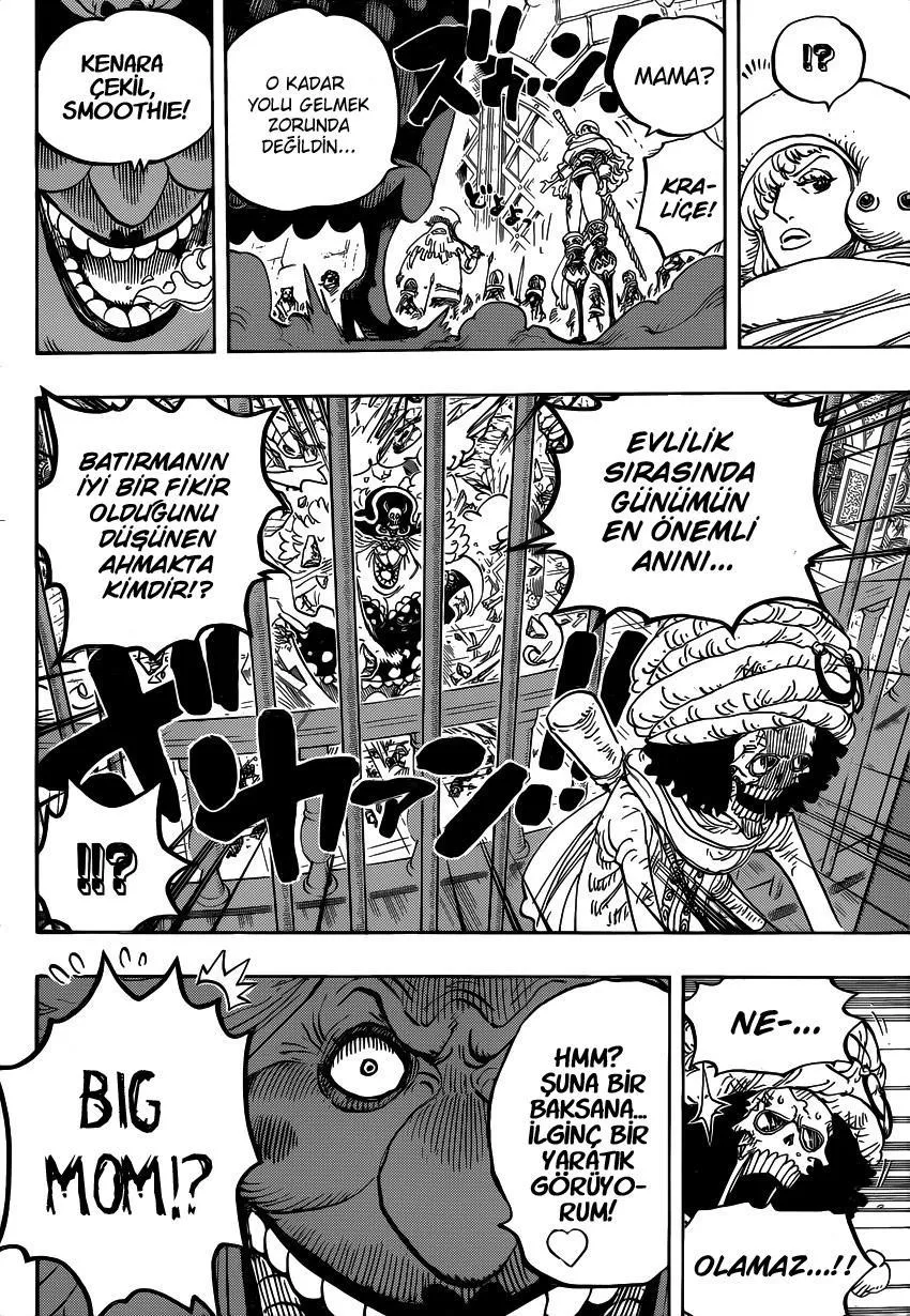 One Piece - Sayfa 15