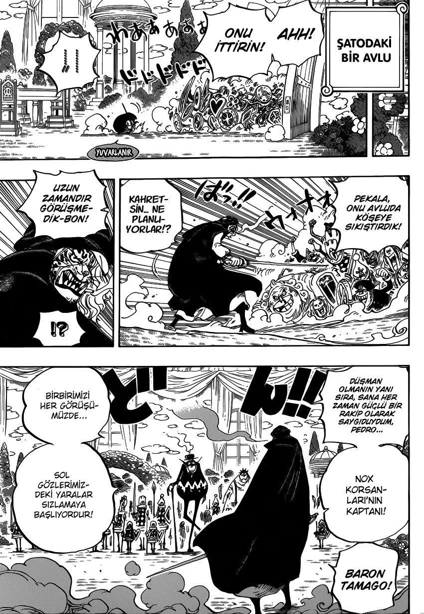 One Piece - Sayfa 16