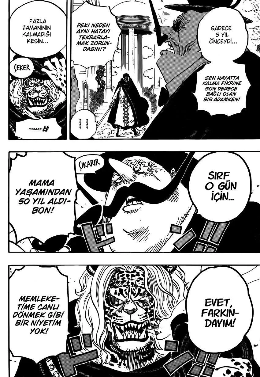 One Piece - Sayfa 17