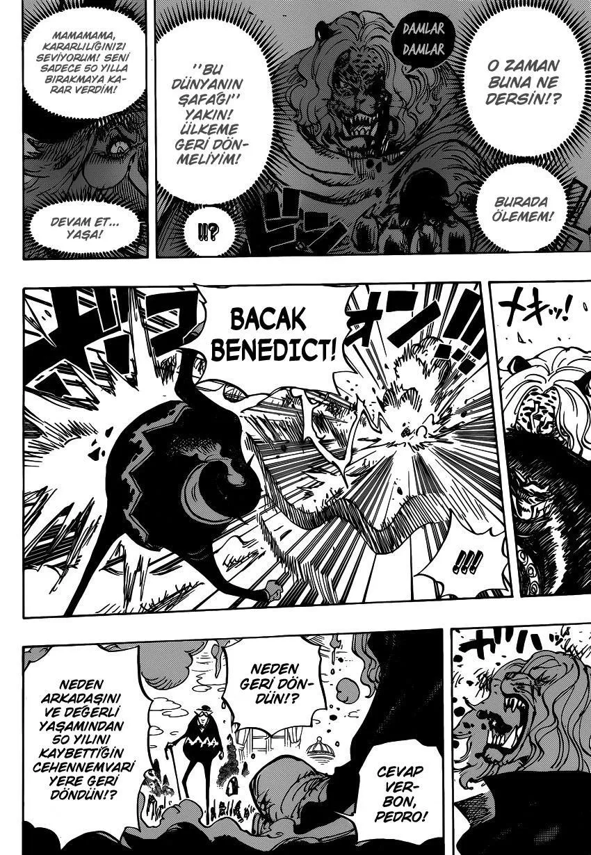 One Piece - Sayfa 11