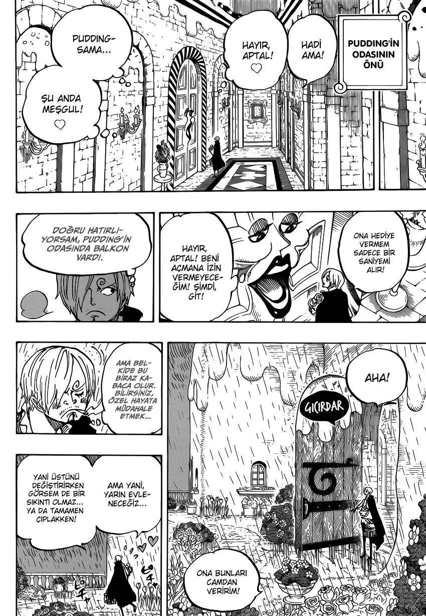 One Piece - Sayfa 13