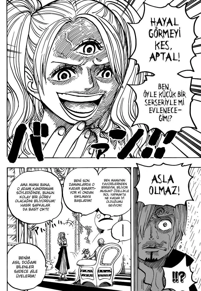 One Piece - Sayfa 15