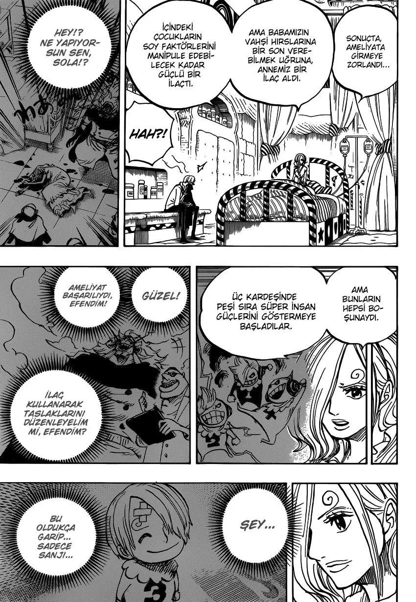 One Piece - Sayfa 12