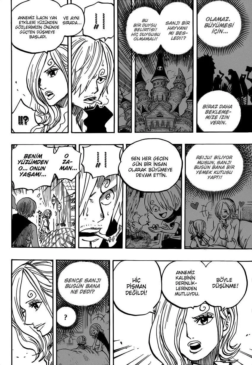 One Piece - Sayfa 13