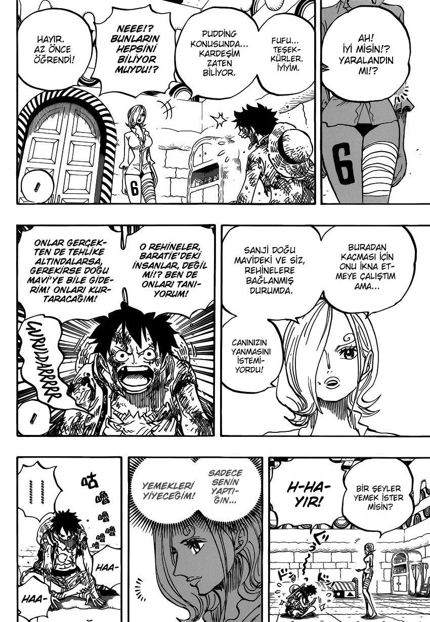 One Piece - Sayfa 13