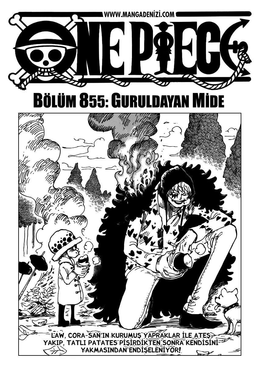 One Piece mangasının 0855 bölümünün 2. sayfasını okuyorsunuz.