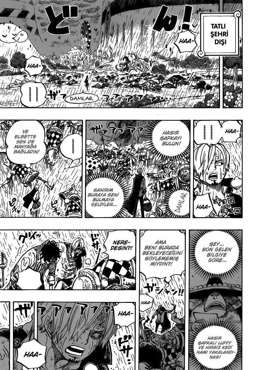 One Piece - Sayfa 13