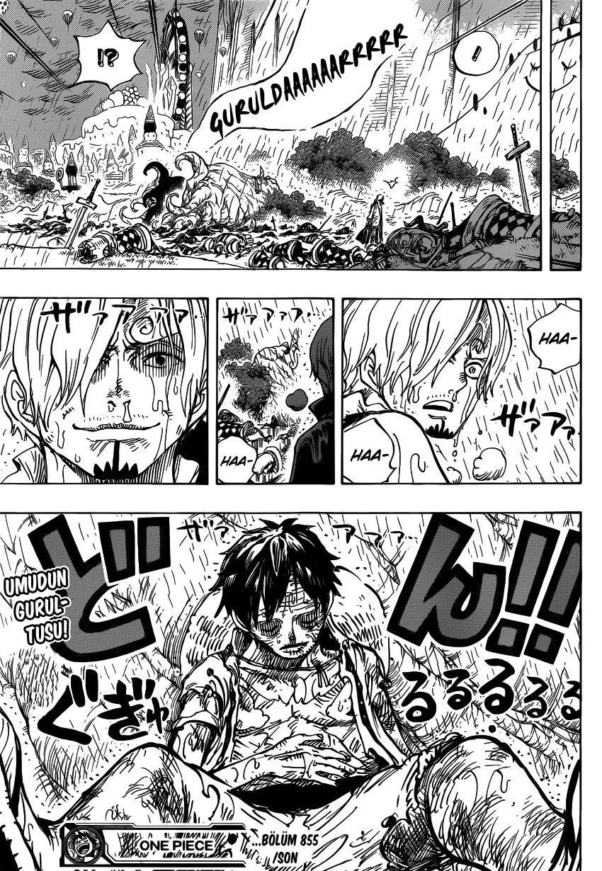 One Piece - Sayfa 17