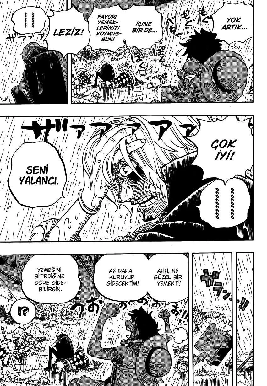 One Piece - Sayfa 12