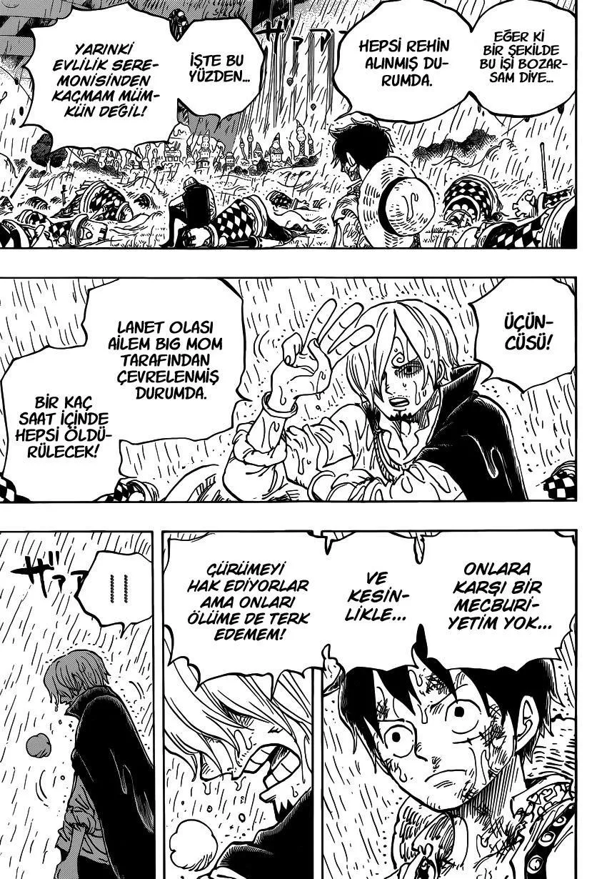 One Piece - Sayfa 14