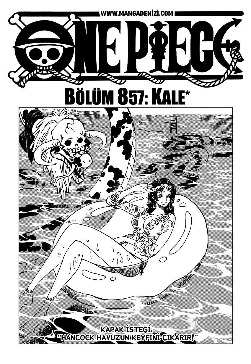 One Piece mangasının 0857 bölümünün 2. sayfasını okuyorsunuz.