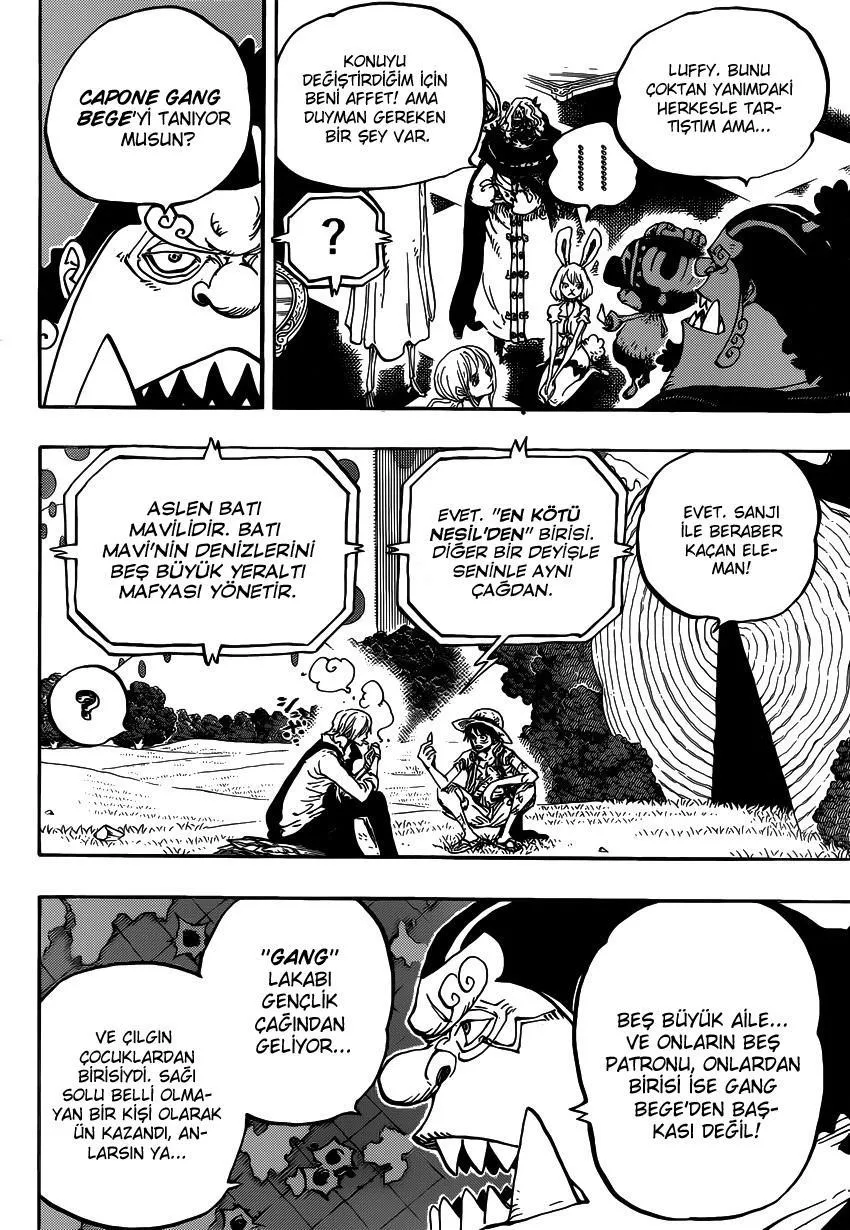 One Piece - Sayfa 11