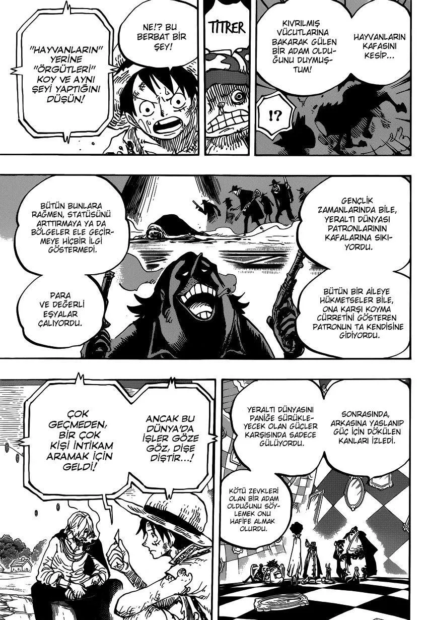 One Piece - Sayfa 12