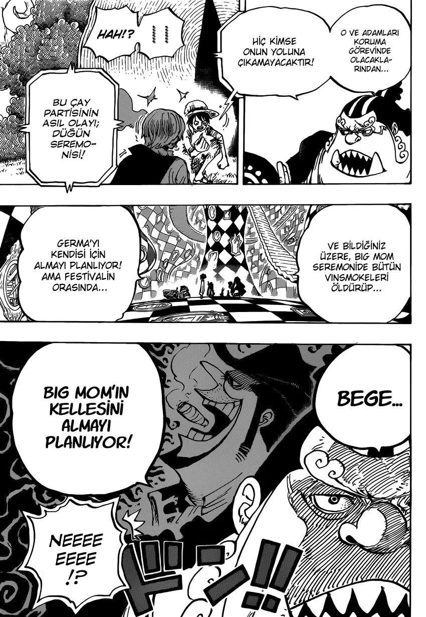 One Piece - Sayfa 14
