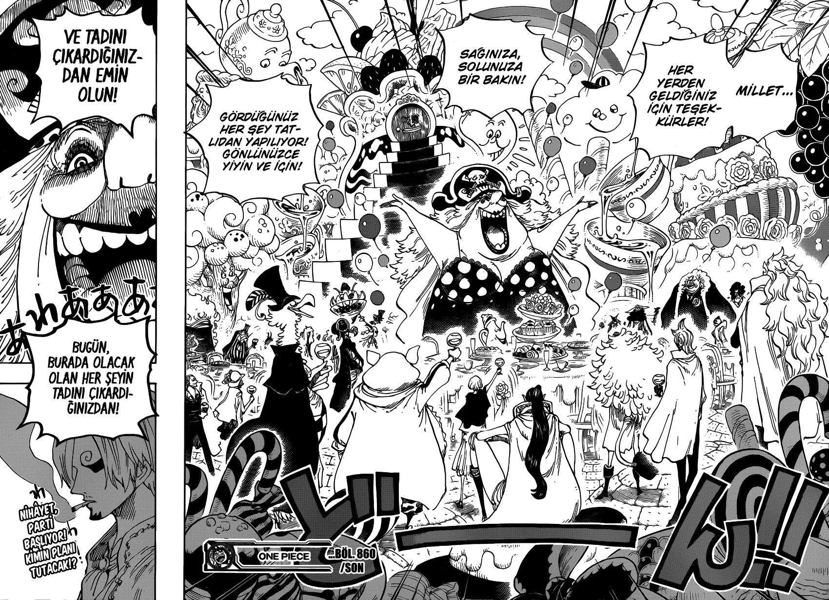 One Piece - Sayfa 13