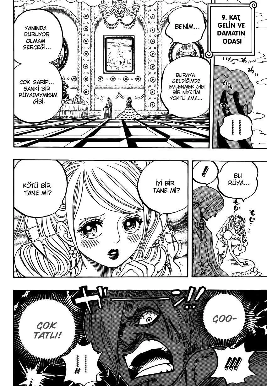 One Piece - Sayfa 13