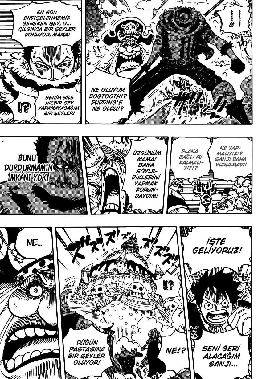 One Piece - Sayfa 15