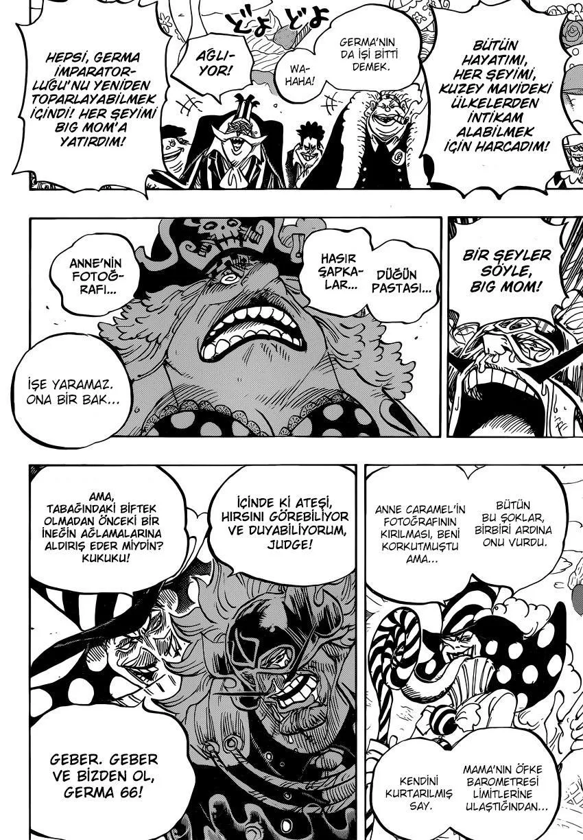One Piece - Sayfa 14